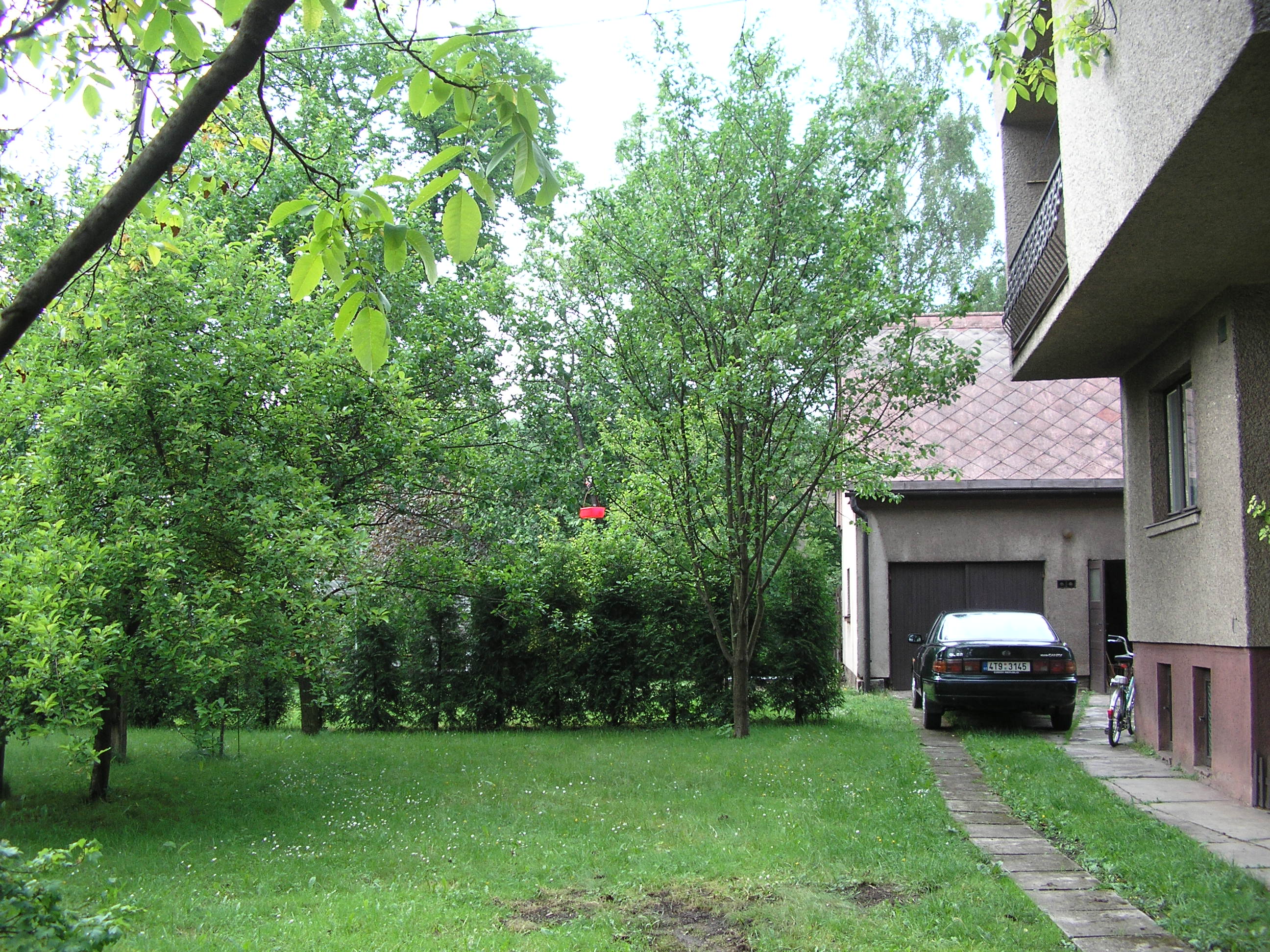 Tamhle je uprostřed cesty mezi stromy a nesmí zavadit o větvičku stromů :-) Těžký úkol, ale zvládnul ho, šikulka :-)